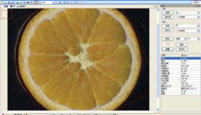 LA-S瓜果剖切面、瓤色圖像分析儀