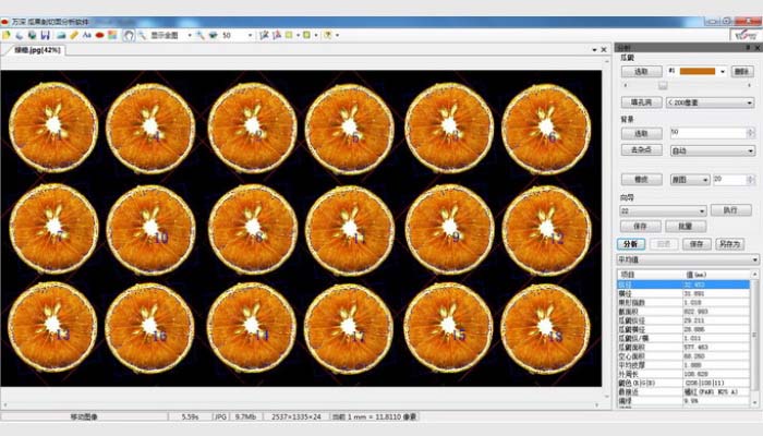 LA-S植物圖像分析儀系統(tǒng)（葉面積+瓜果剖切面分析組合版）