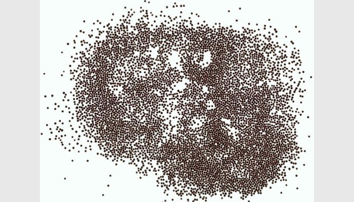 SC-A自動考種及千粒重儀,考種儀,自動考種儀,自動考種分析儀