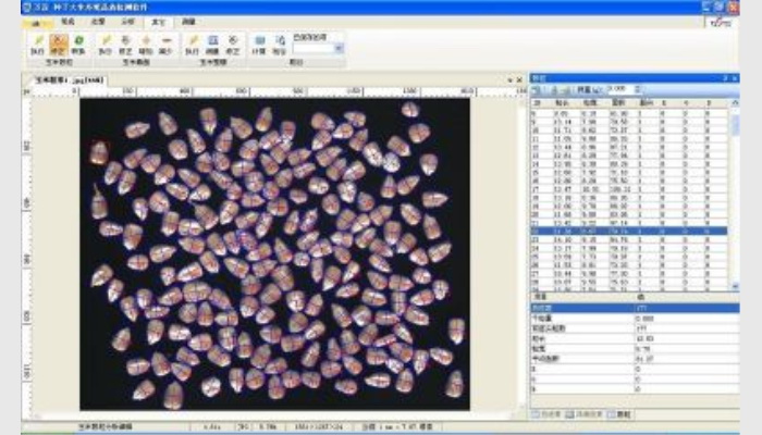 SC-G玉米自動考種分析及千粒重儀系統,玉米考種儀,玉米考種系統,自動考種儀,自動考種分析儀