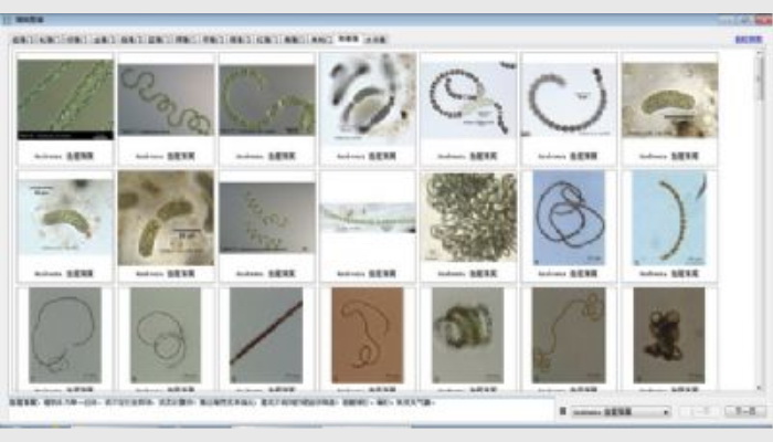 AlgaeC型浮游生物(藻類、浮游動物)智能鑒定計數儀