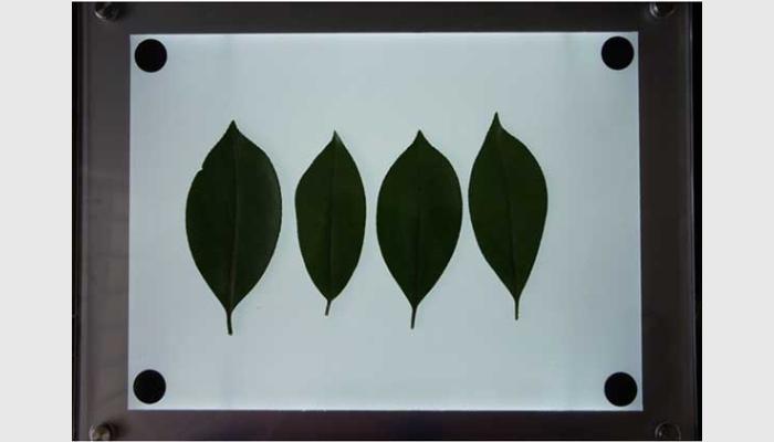 LA-S葉面積分析儀(平板電腦款),葉面積儀,葉面積測量儀,葉面積測定儀