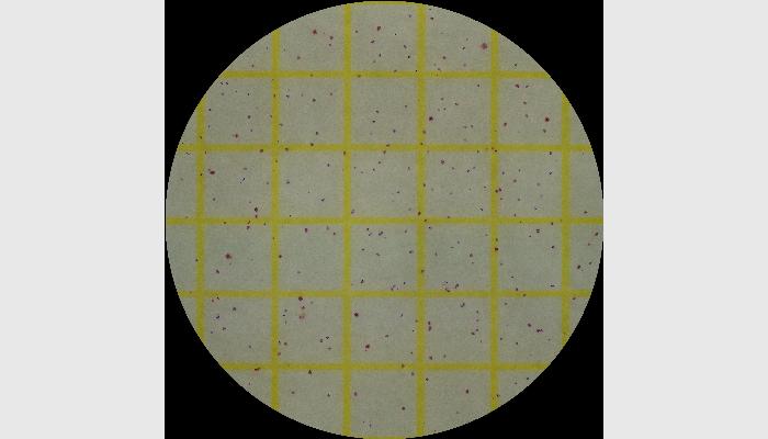 HiCC-G型Ai智能全自動(dòng)菌落計(jì)數(shù)分析儀,菌落計(jì)數(shù)儀,自動(dòng)菌落計(jì)數(shù)儀,菌落計(jì)數(shù)器