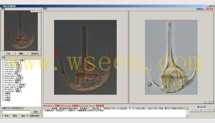 AlgaeC藻類計數分析智能鑒定系統,藻類計數儀