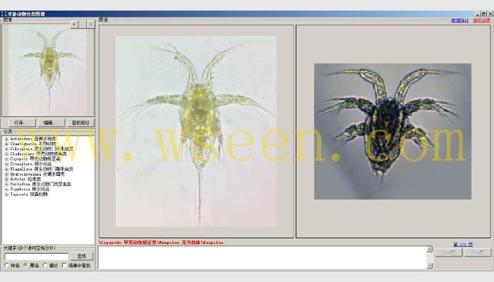 AlgaeC浮游生物計數分析智能鑒定系統（浮游動物鑒定模塊）