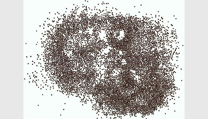 SC-B2型多功能魚卵貝苗自動計數儀