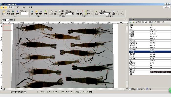 SC-B型魚蝦苗自動測量分析儀