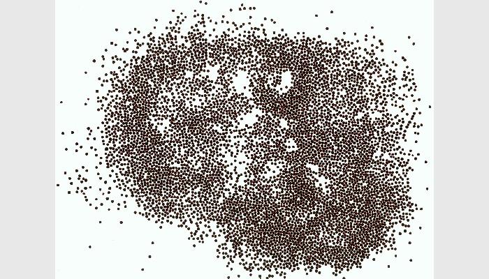 SC-B型魚蝦苗自動測量分析儀