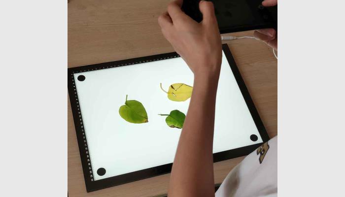 LA-M增強(qiáng)版手機(jī)版葉面積分析儀系統(tǒng)