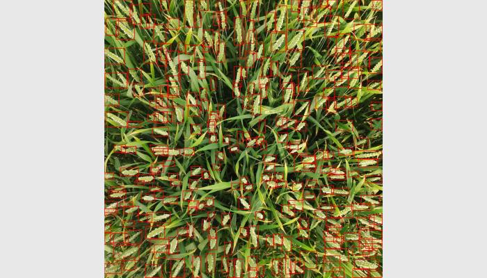 萬深SC-MS增強型Ai智能小麥畝穗數測量分析儀