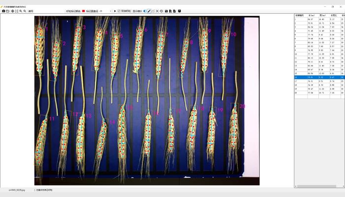 SC-T型Ai智能小麥穗形粒數(shù)考種儀