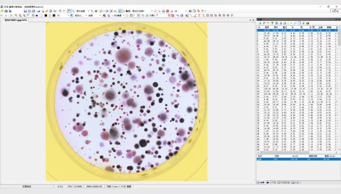 HiCC-S1型Ai智能全自動菌落計數及抑菌圈測量儀,Ai智能菌落儀,抑菌圈測定儀
