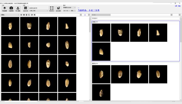SC-M型Ai智能籽粒外觀品質分類識別檢測儀