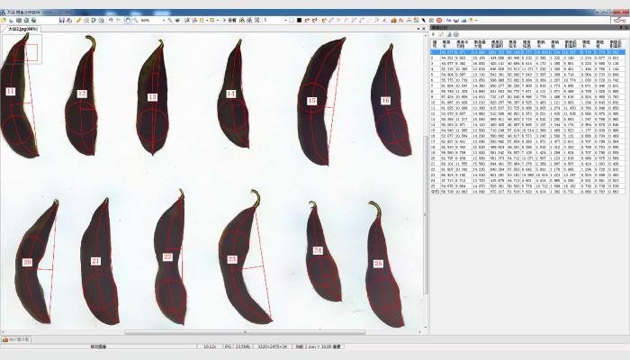 LA-S植物圖像分析儀系統（根系+葉面積分析組合版）大幅面款