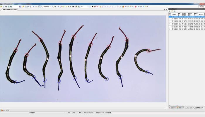 LA-S根系分析儀系統（大面積拍照款）
