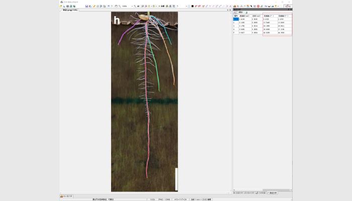 LA-S根系分析儀系統（大面積拍照款）