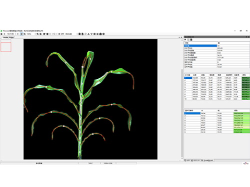 植物表型測(cè)量分析